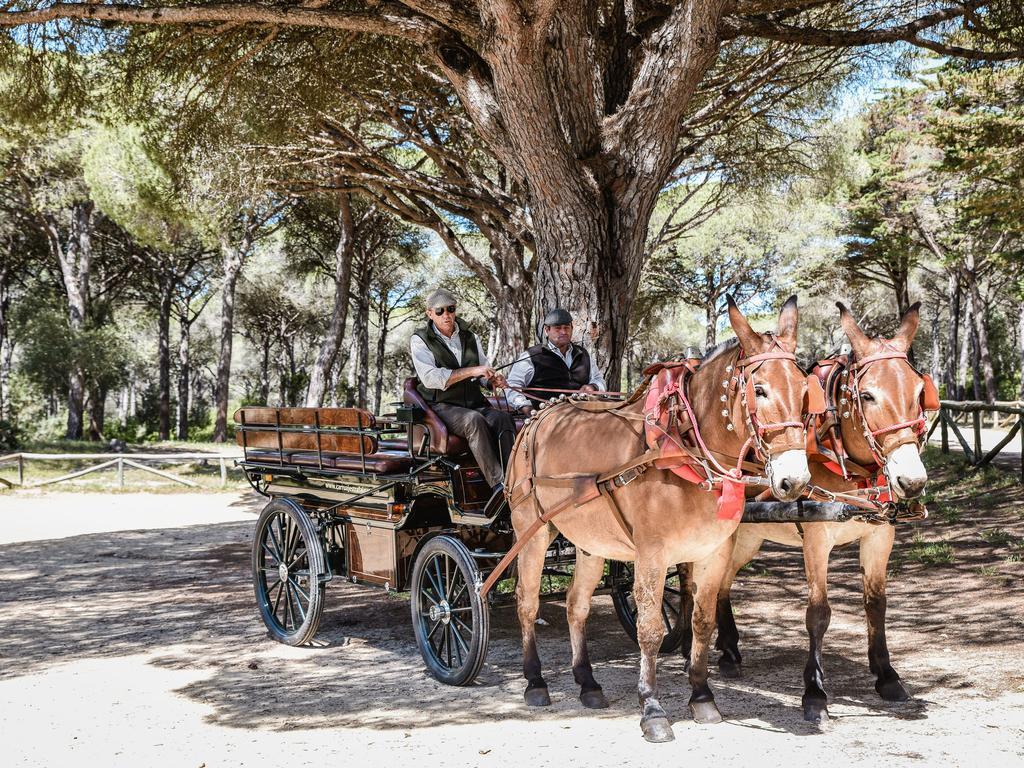 Вилла Casa Rural Aldea Chica Лос-Каньос-де-Мека Экстерьер фото