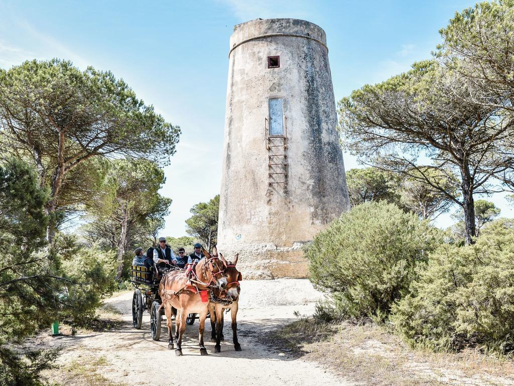 Вилла Casa Rural Aldea Chica Лос-Каньос-де-Мека Экстерьер фото